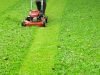 How To Protect Your Lawn This Fall